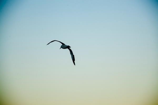 2 como a fotografia me colocou no meu caminho